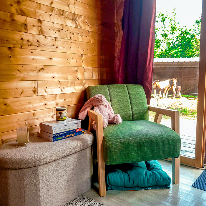 photographie de l'intérieur du cabinet de psychothérapie de Elisabeth Haumont